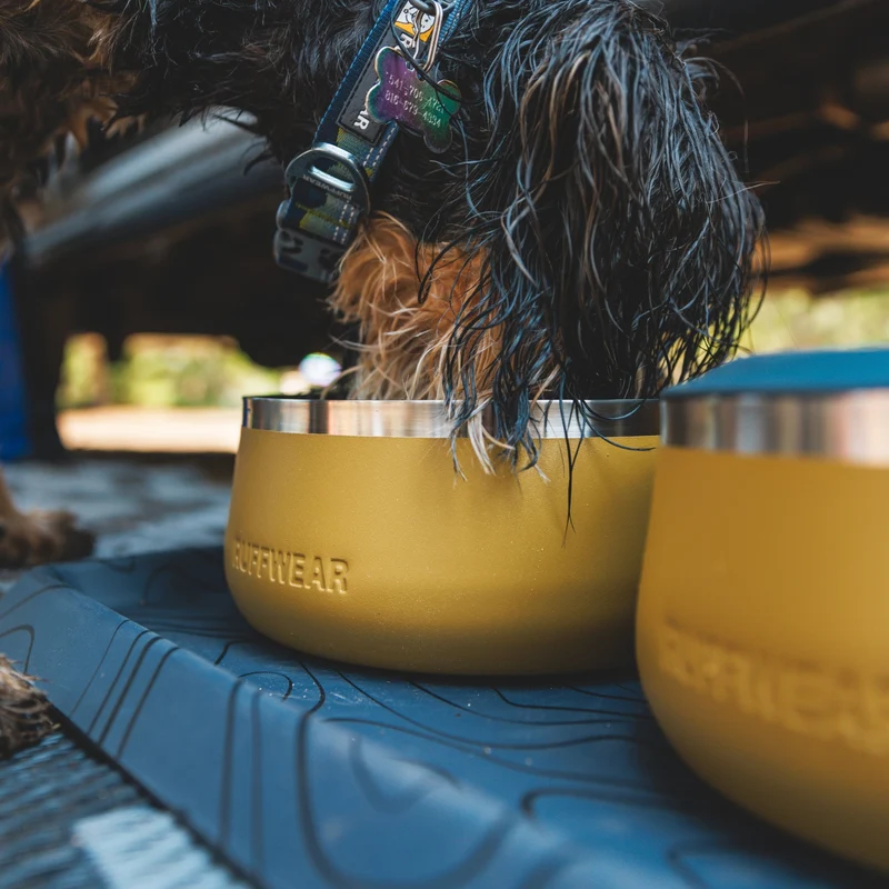 Ruffwear Basecamp Bowl – Robuster Premium Hundenapf aus Edelstahl für Outdoor-Abenteuer & Zuhause