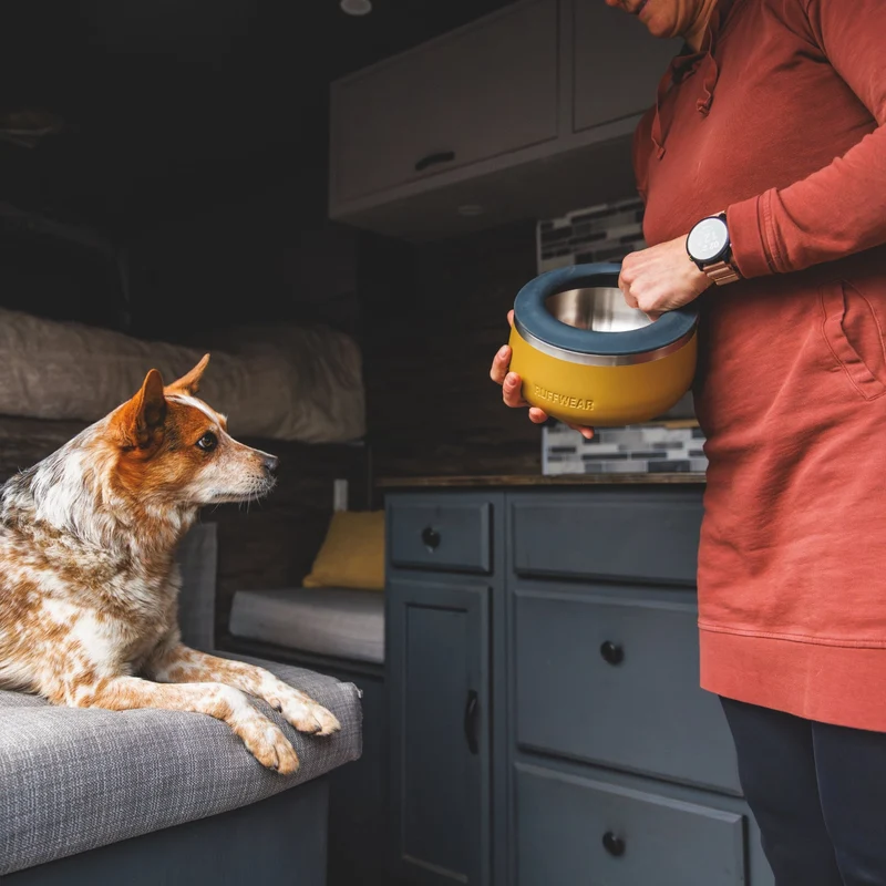 Ruffwear Basecamp Bowl – Robuster Premium Hundenapf aus Edelstahl für Outdoor-Abenteuer & Zuhause