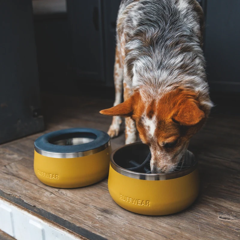 Ruffwear Basecamp Bowl – Robuster Premium Hundenapf aus Edelstahl für Outdoor-Abenteuer & Zuhause