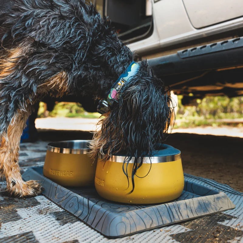 Ruffwear Basecamp Bowl – Robuster Premium Hundenapf aus Edelstahl für Outdoor-Abenteuer & Zuhause