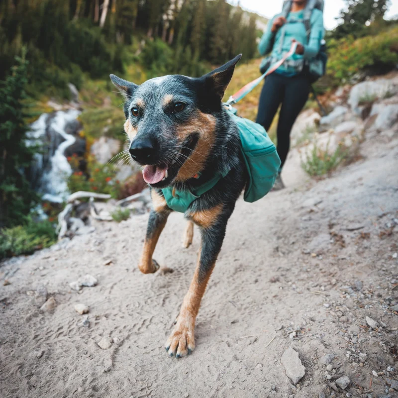 Ruffwear Front Range Day Pack – Hundegeschirr mit Packtaschen für Wanderungen & Outdoor-Abenteuer