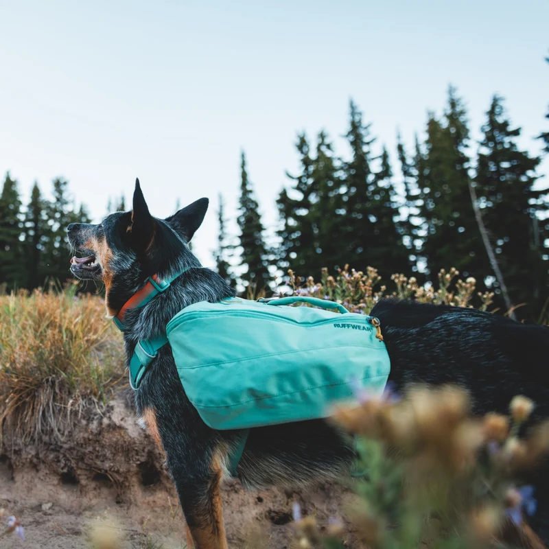 Ruffwear Front Range Day Pack – Hundegeschirr mit Packtaschen für Wanderungen & Outdoor-Abenteuer