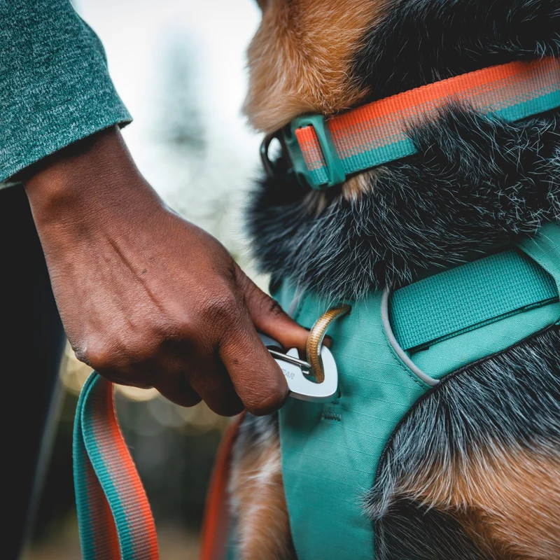 Ruffwear Front Range Day Pack – Hundegeschirr mit Packtaschen für Wanderungen & Outdoor-Abenteuer