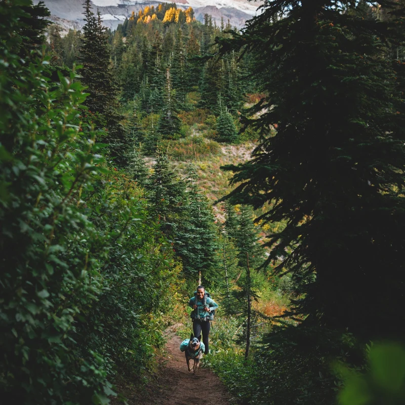 Ruffwear Front Range Day Pack – Hundegeschirr mit Packtaschen für Wanderungen & Outdoor-Abenteuer