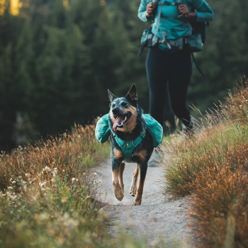 Ruffwear Front Range Day Pack – Hundegeschirr mit Packtaschen für Wanderungen & Outdoor-Abenteuer