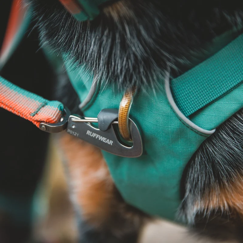 Ruffwear Front Range Day Pack – Hundegeschirr mit Packtaschen für Wanderungen & Outdoor-Abenteuer