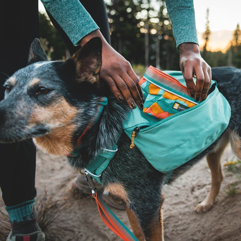Ruffwear Front Range Day Pack – Hundegeschirr mit Packtaschen für Wanderungen & Outdoor-Abenteuer