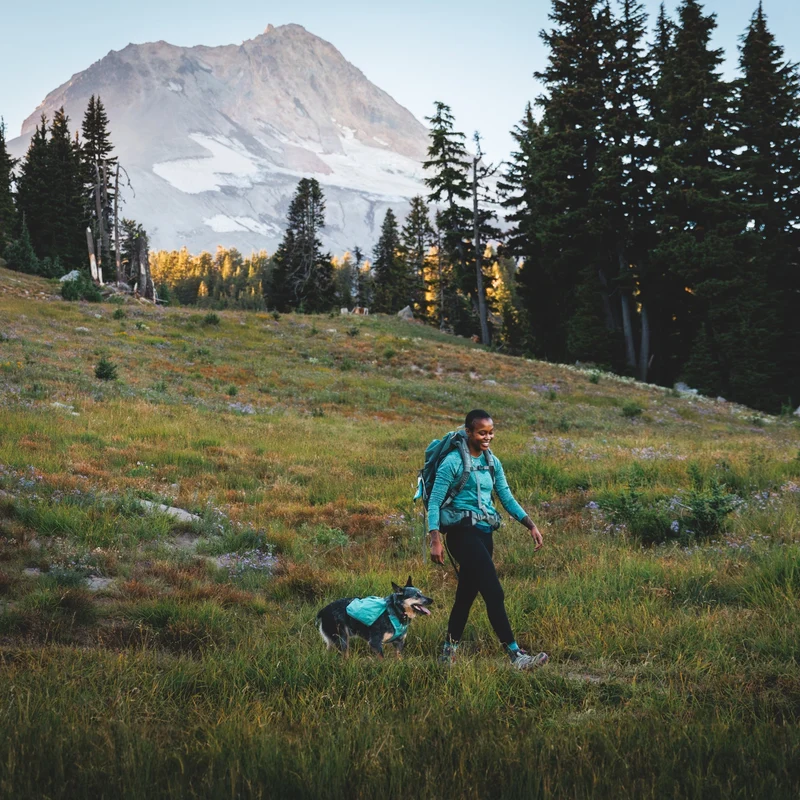 Ruffwear Front Range Day Pack – Hundegeschirr mit Packtaschen für Wanderungen & Outdoor-Abenteuer