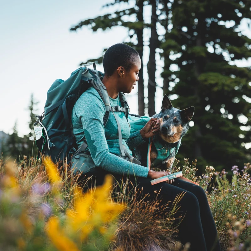 Ruffwear Front Range Day Pack – Hundegeschirr mit Packtaschen für Wanderungen & Outdoor-Abenteuer