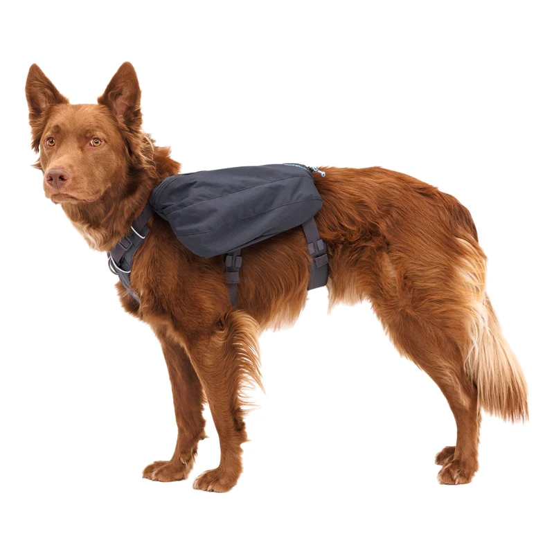 Ruffwear Front Range Day Pack – Hundegeschirr mit Packtaschen für Wanderungen & Outdoor-Abenteuer