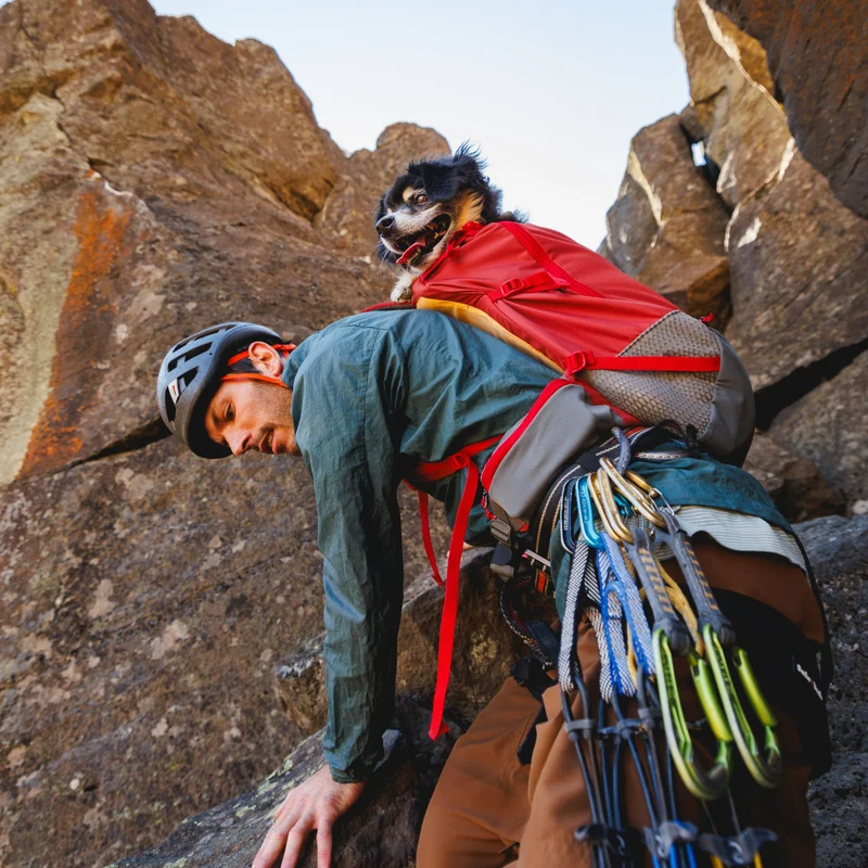 Ruffwear Hitch Hiker Dog Backpack Carrier – Komfortable Hunderucksack-Tragetasche für Abenteuer & sichere Transporte
