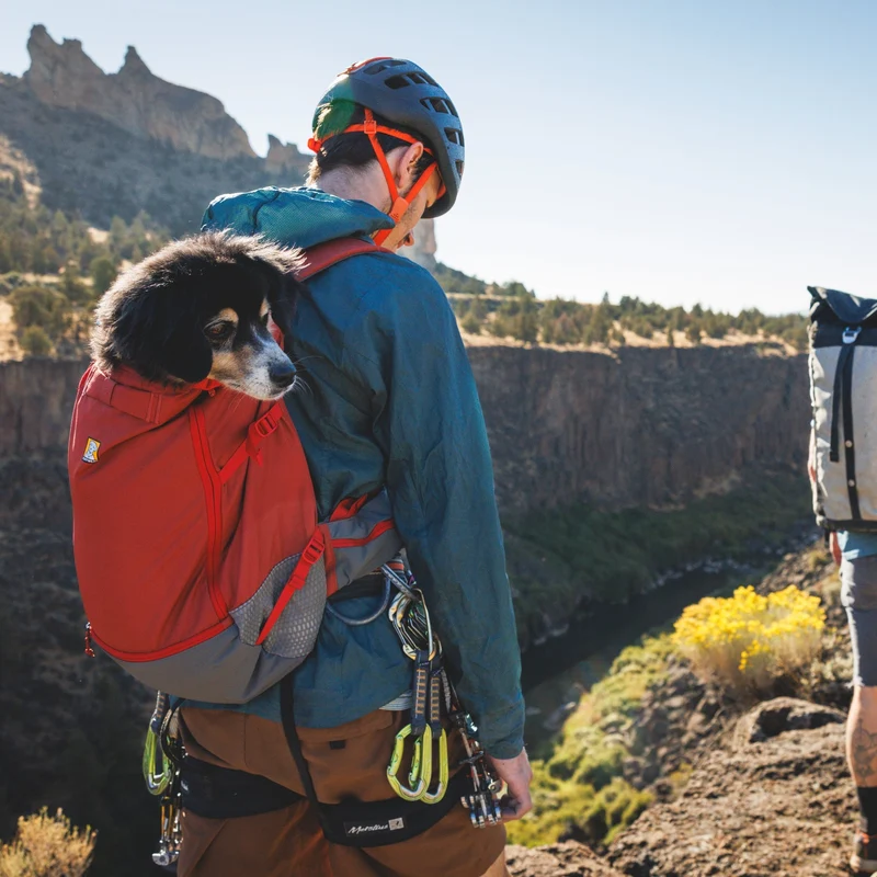 Ruffwear Hitch Hiker Dog Backpack Carrier – Komfortable Hunderucksack-Tragetasche für Abenteuer & sichere Transporte