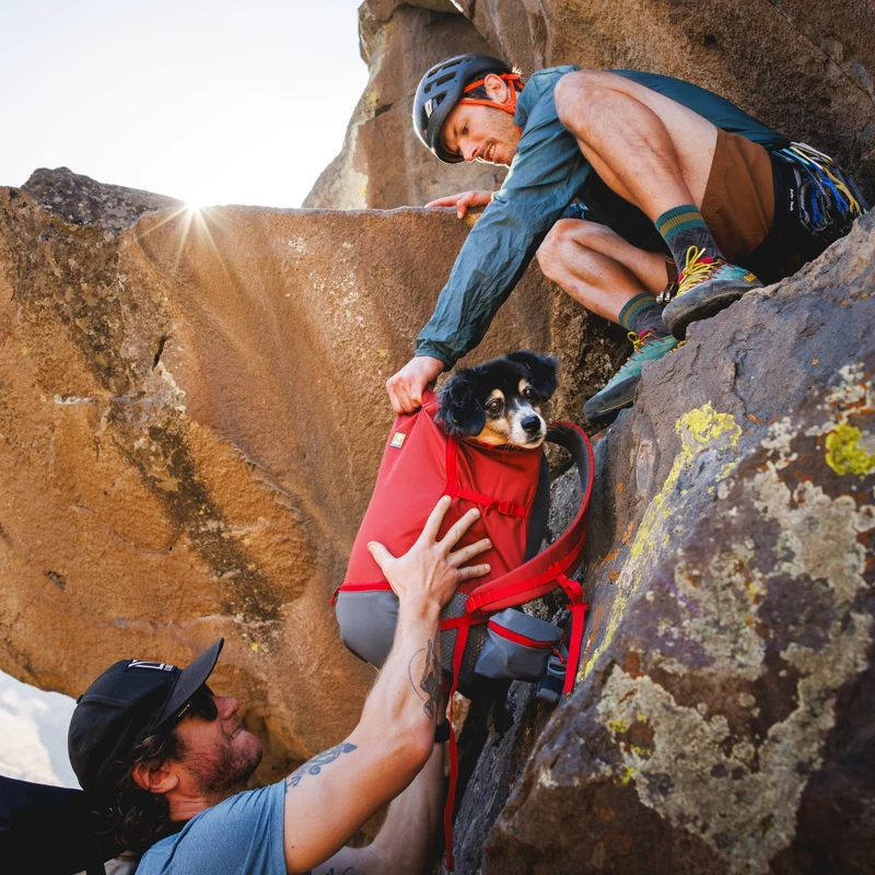 Ruffwear Hitch Hiker Dog Backpack Carrier – Komfortable Hunderucksack-Tragetasche für Abenteuer & sichere Transporte