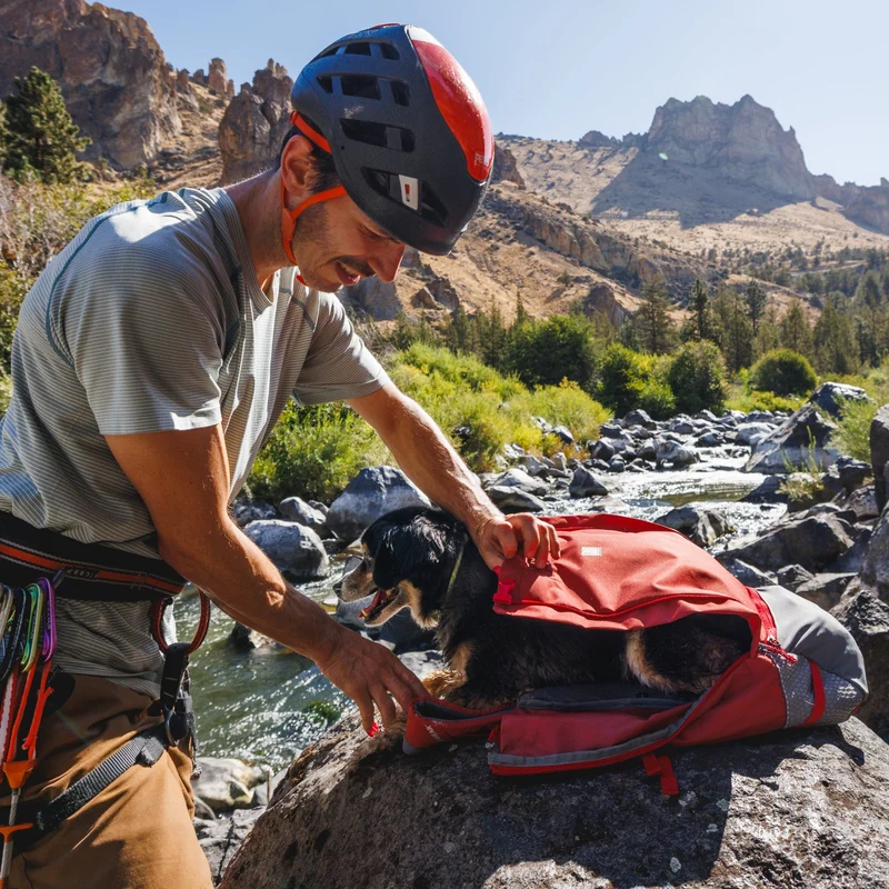Ruffwear Hitch Hiker Dog Backpack Carrier – Komfortable Hunderucksack-Tragetasche für Abenteuer & sichere Transporte