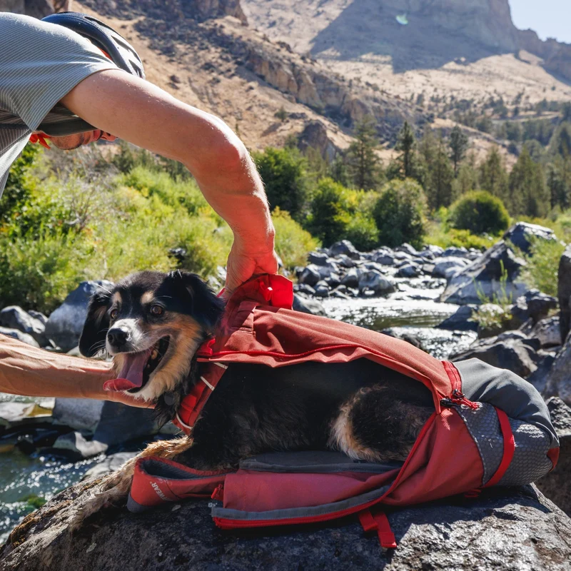 Ruffwear Hitch Hiker Dog Backpack Carrier – Komfortable Hunderucksack-Tragetasche für Abenteuer & sichere Transporte