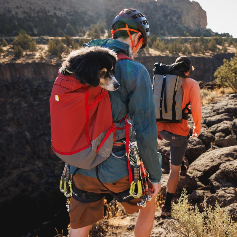 Ruffwear Hitch Hiker Dog Backpack Carrier – Komfortable Hunderucksack-Tragetasche für Abenteuer & sichere Transporte