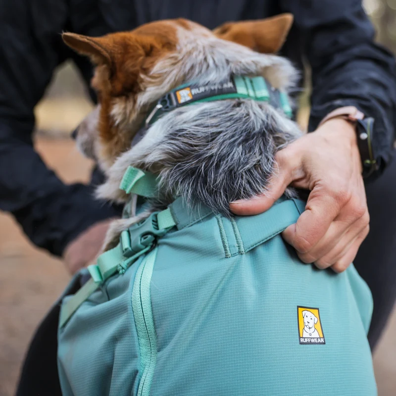 Ruffwear Hitch Hiker Dog Backpack Carrier – Komfortable Hunderucksack-Tragetasche für Abenteuer & sichere Transporte