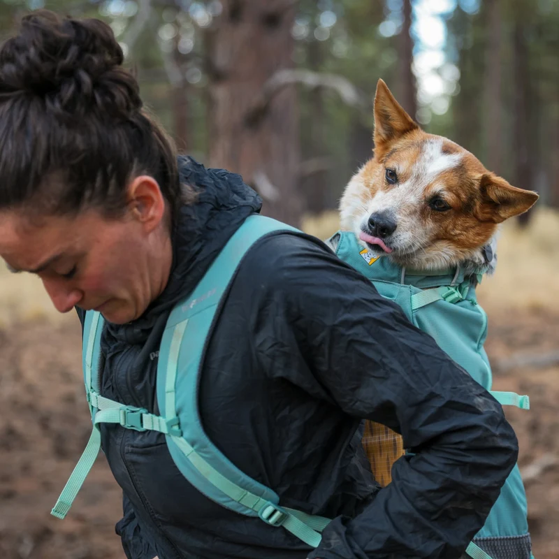 Ruffwear Hitch Hiker Dog Backpack Carrier – Komfortable Hunderucksack-Tragetasche für Abenteuer & sichere Transporte