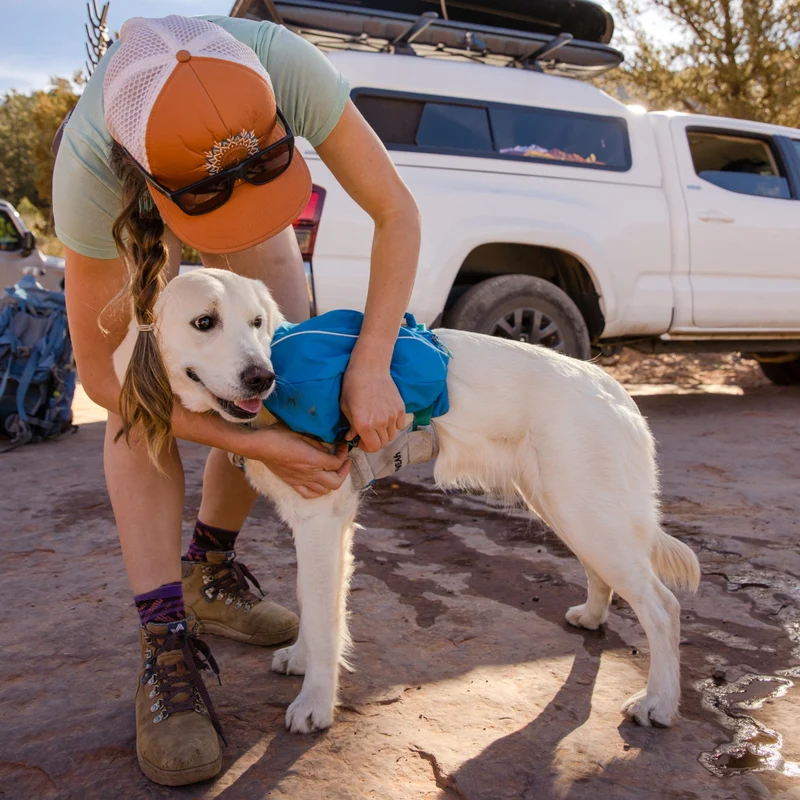 Ruffwear Approach Pack – Ergonomischer Hunderucksack mit Satteltaschen für aktive Hunde auf Trekking & Wandertouren