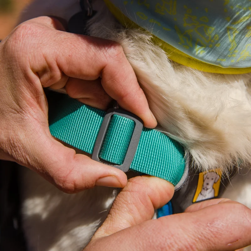 Ruffwear Approach Pack – Ergonomischer Hunderucksack mit Satteltaschen für aktive Hunde auf Trekking & Wandertouren