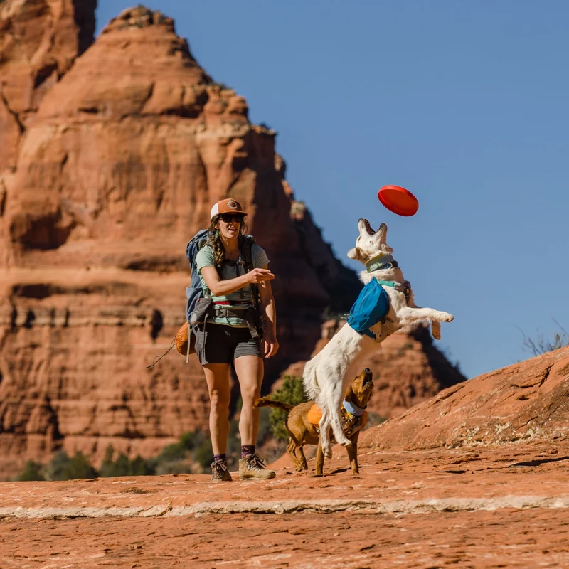 Ruffwear Approach Pack – Ergonomischer Hunderucksack mit Satteltaschen für aktive Hunde auf Trekking & Wandertouren