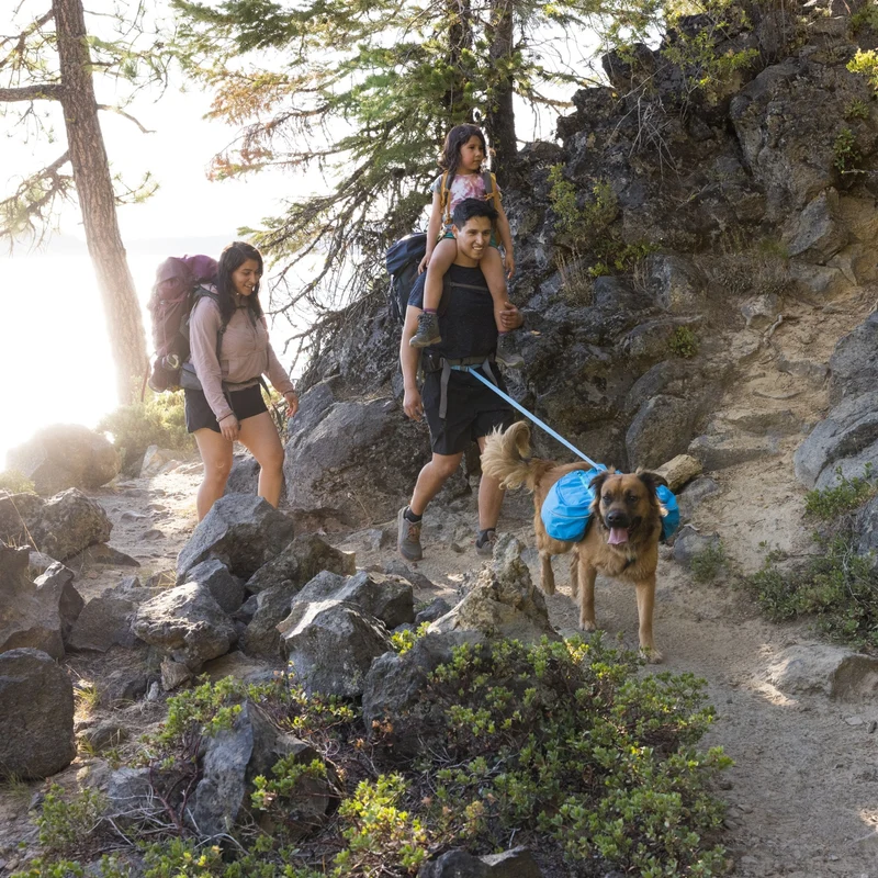 Ruffwear Approach Pack – Ergonomischer Hunderucksack mit Satteltaschen für aktive Hunde auf Trekking & Wandertouren