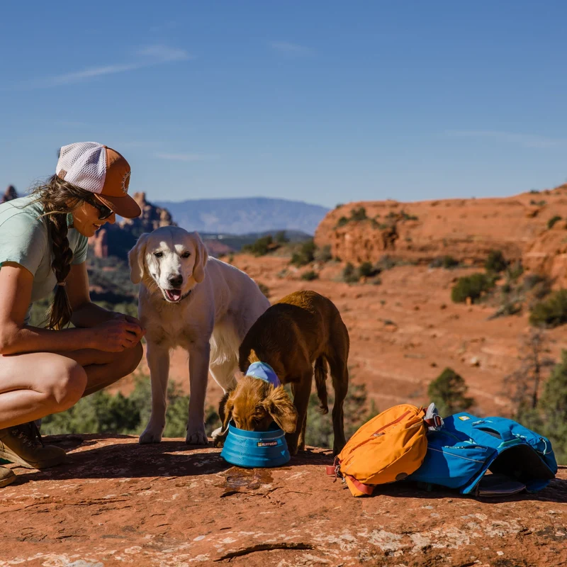 Ruffwear Approach Pack – Ergonomischer Hunderucksack mit Satteltaschen für aktive Hunde auf Trekking & Wandertouren
