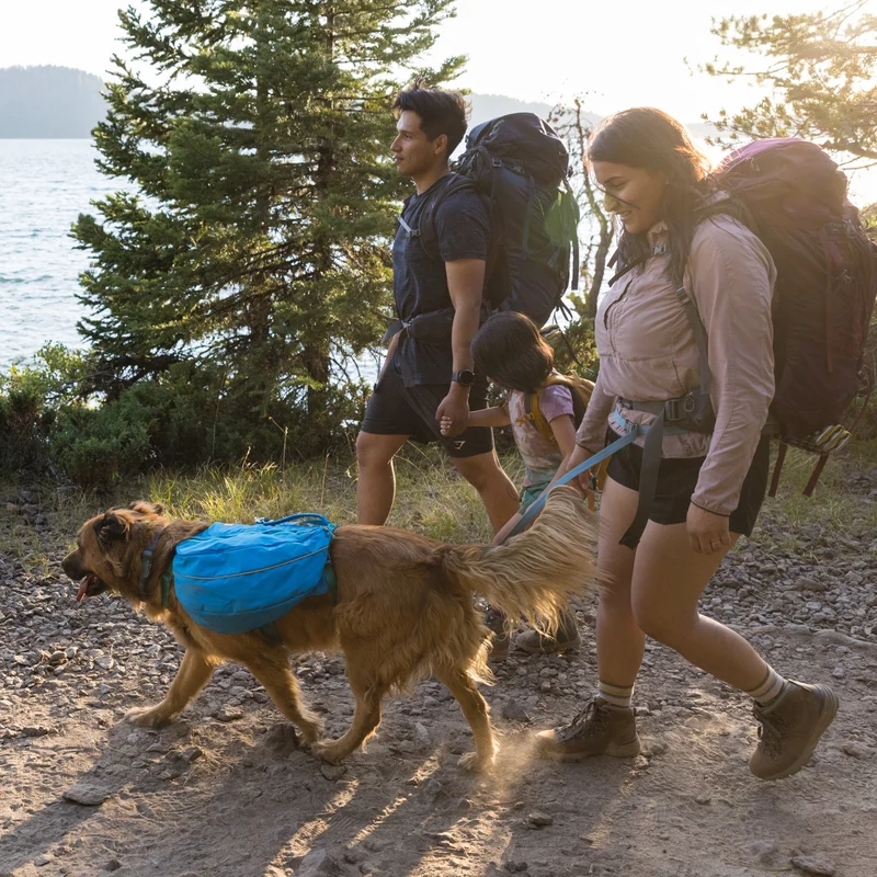 Ruffwear Approach Pack – Ergonomischer Hunderucksack mit Satteltaschen für aktive Hunde auf Trekking & Wandertouren