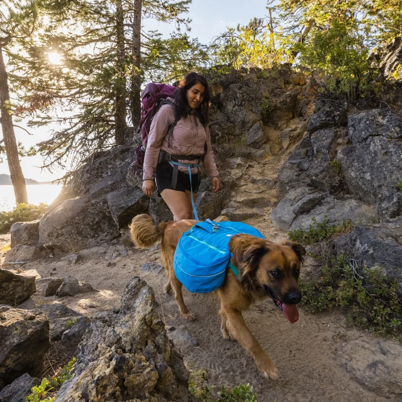 Ruffwear Approach Pack – Ergonomischer Hunderucksack mit Satteltaschen für aktive Hunde auf Trekking & Wandertouren