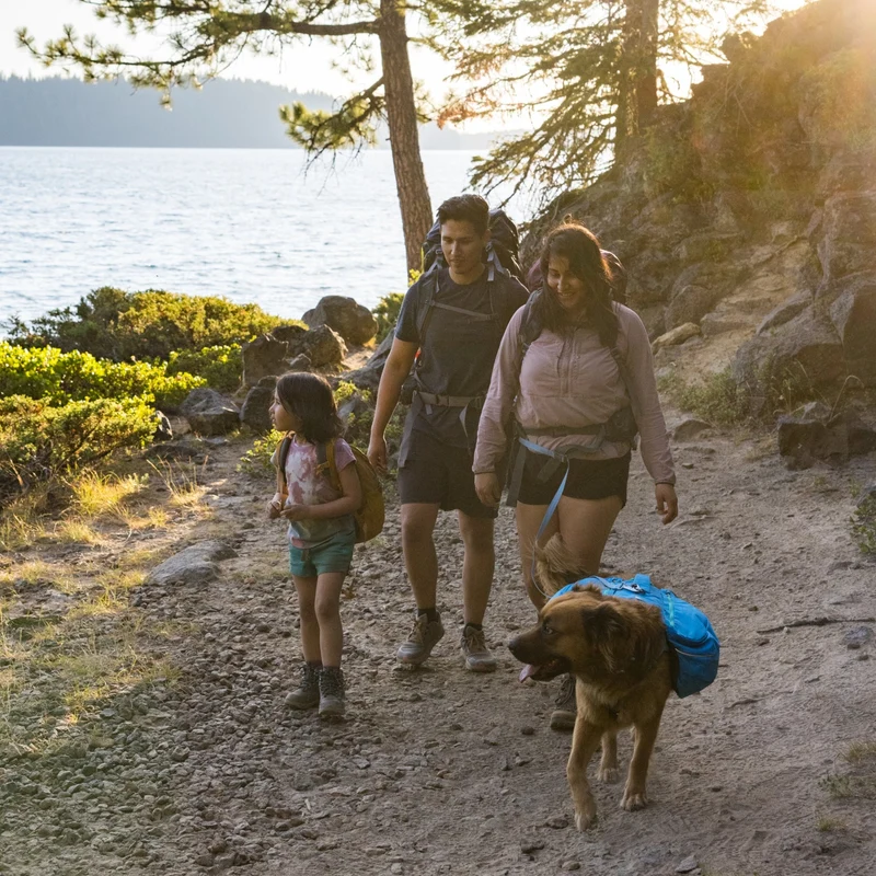 Ruffwear Approach Pack – Ergonomischer Hunderucksack mit Satteltaschen für aktive Hunde auf Trekking & Wandertouren