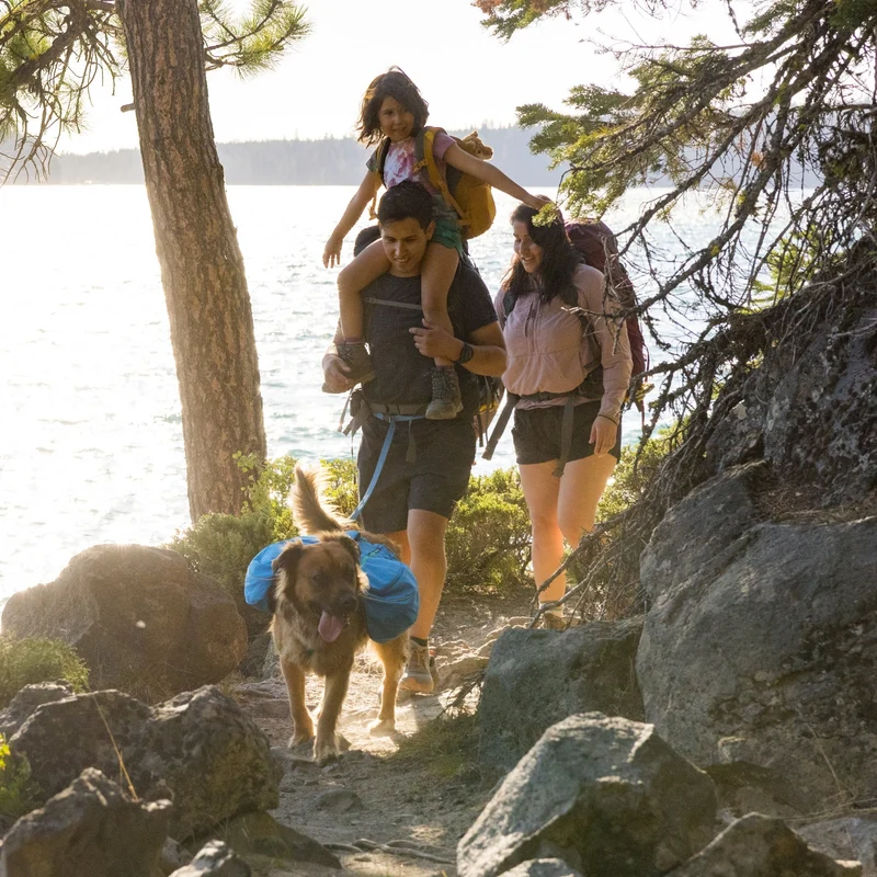 Ruffwear Approach Pack – Ergonomischer Hunderucksack mit Satteltaschen für aktive Hunde auf Trekking & Wandertouren