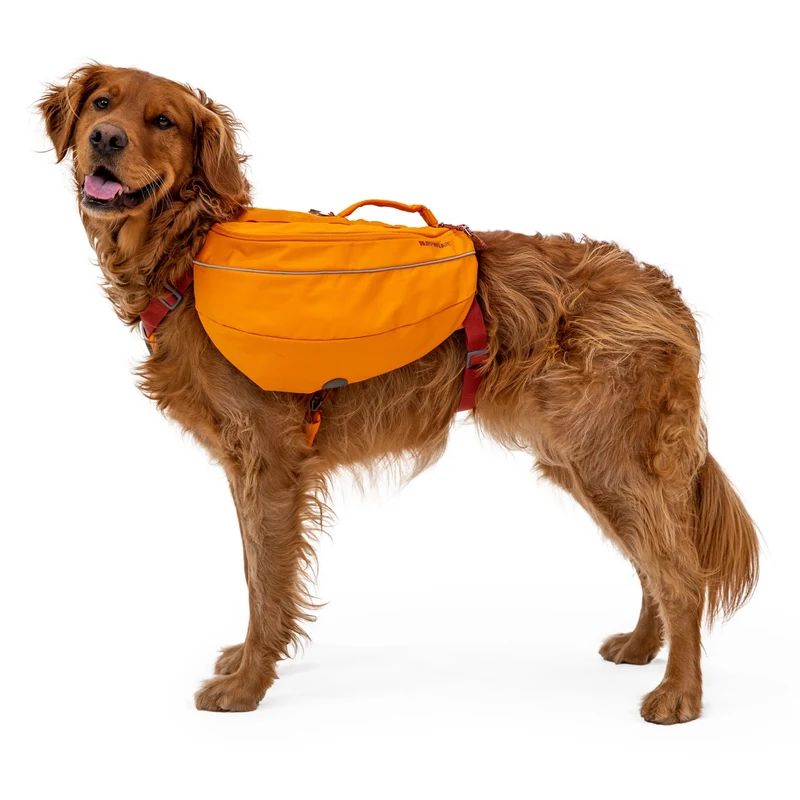 Ruffwear Approach Pack – Ergonomischer Hunderucksack mit Satteltaschen für aktive Hunde auf Trekking & Wandertouren