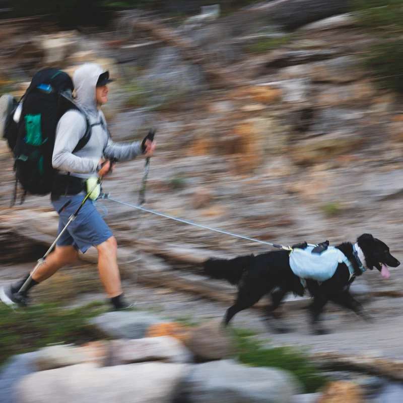 Ruffwear Palisades Pack – Premium Hunderucksack mit abnehmbaren Satteltaschen für Wanderungen & Outdoor-Abenteuer