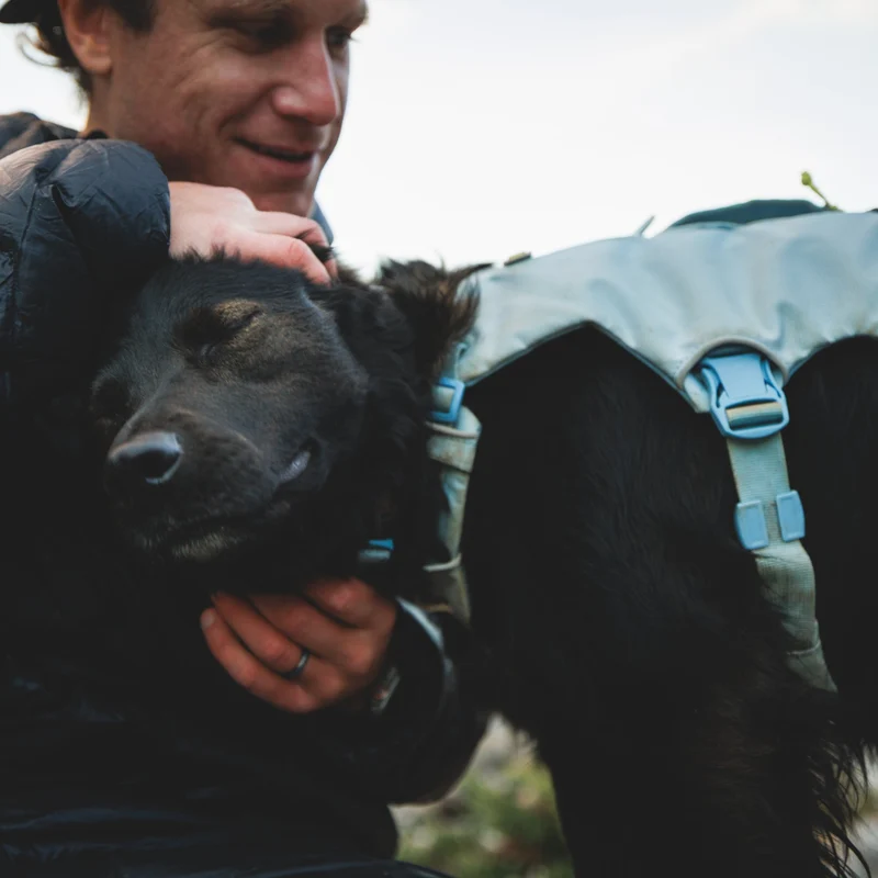 Ruffwear Palisades Pack – Premium Hunderucksack mit abnehmbaren Satteltaschen für Wanderungen & Outdoor-Abenteuer