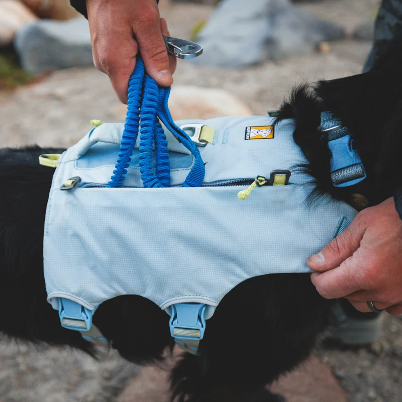 Ruffwear Palisades Pack – Premium Hunderucksack mit abnehmbaren Satteltaschen für Wanderungen & Outdoor-Abenteuer