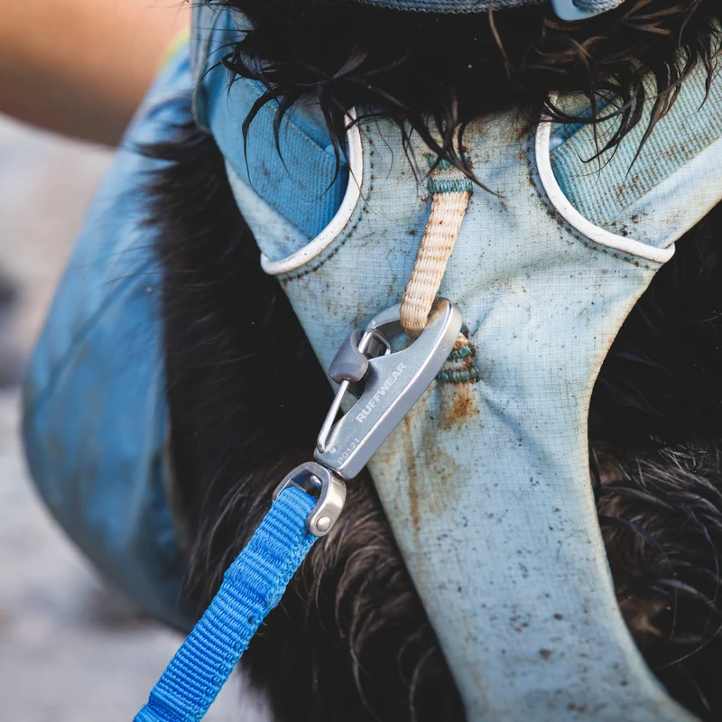 Ruffwear Palisades Pack – Premium Hunderucksack mit abnehmbaren Satteltaschen für Wanderungen & Outdoor-Abenteuer