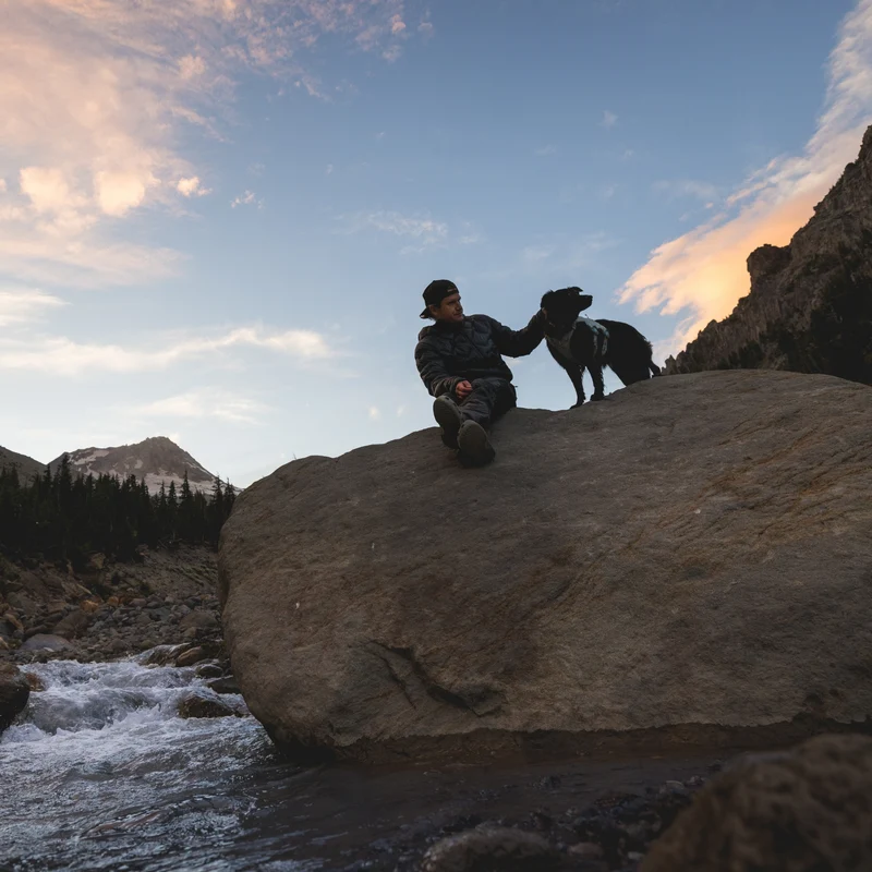 Ruffwear Palisades Pack – Premium Hunderucksack mit abnehmbaren Satteltaschen für Wanderungen & Outdoor-Abenteuer
