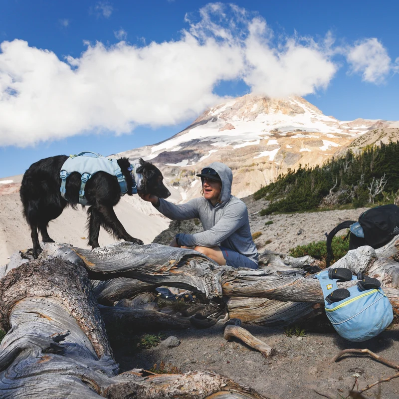 Ruffwear Palisades Pack – Premium Hunderucksack mit abnehmbaren Satteltaschen für Wanderungen & Outdoor-Abenteuer