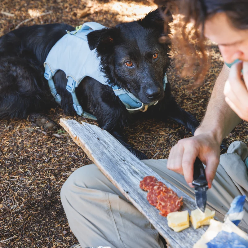 Ruffwear Palisades Pack – Premium Hunderucksack mit abnehmbaren Satteltaschen für Wanderungen & Outdoor-Abenteuer