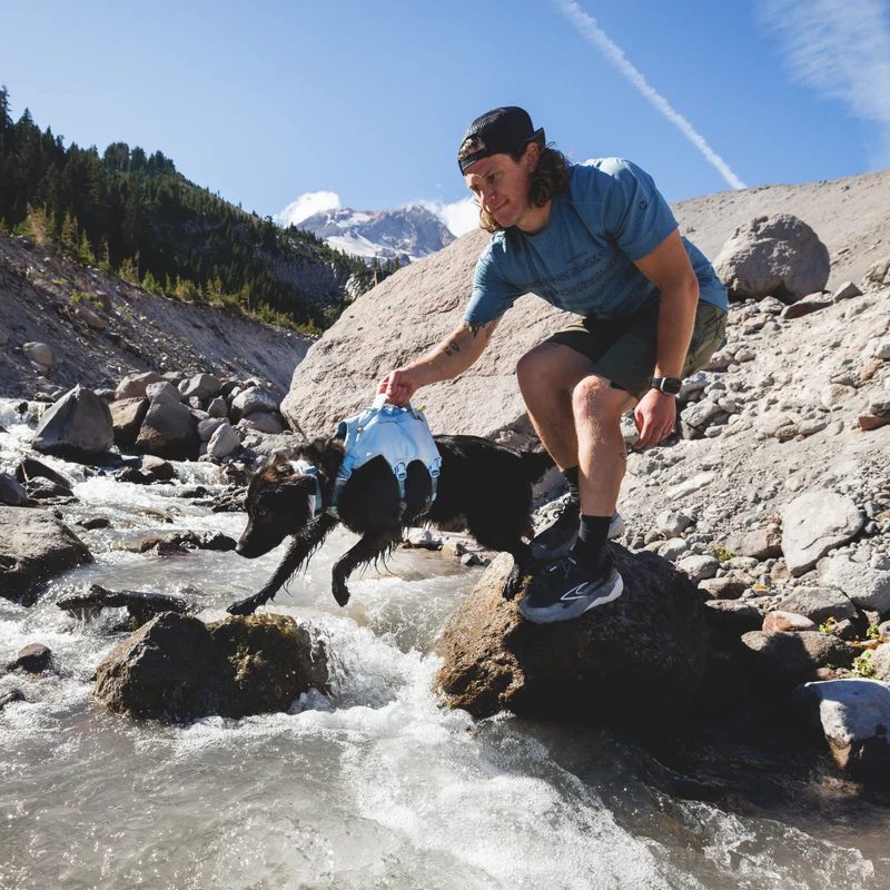Ruffwear Palisades Pack – Premium Hunderucksack mit abnehmbaren Satteltaschen für Wanderungen & Outdoor-Abenteuer
