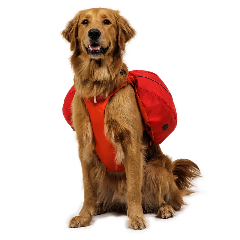 Ruffwear Palisades Pack – Premium Hunderucksack mit abnehmbaren Satteltaschen für Wanderungen & Outdoor-Abenteuer