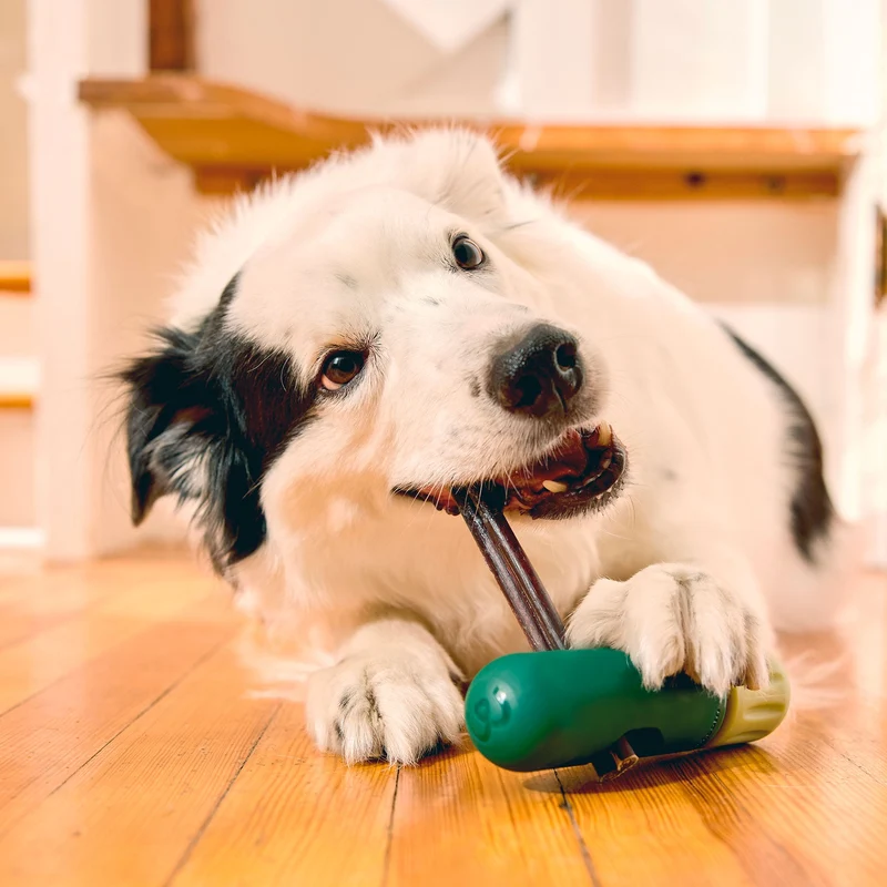 Woof BullySafe