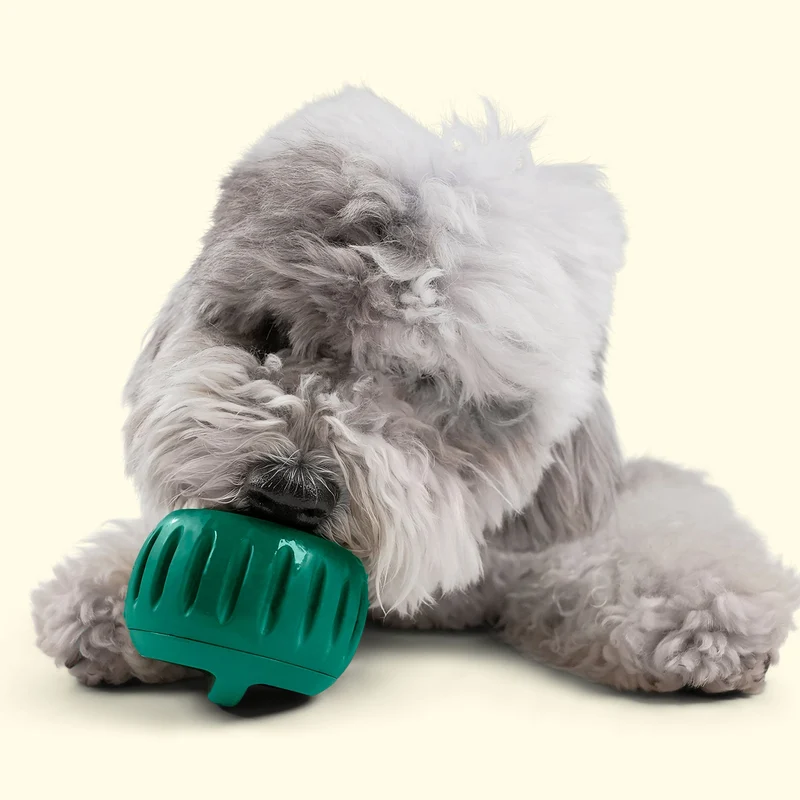 Woof Pupsicle Treat Tray