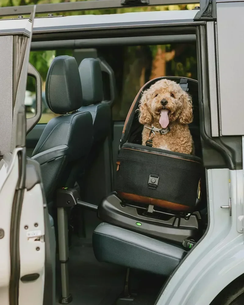Isofix Autositz & Transportbox Maeve™ Small Flex von Tavo für Hunde bis 12 kg | GREENGUARD-Gold-Zertifizierung | Farbe: Sable