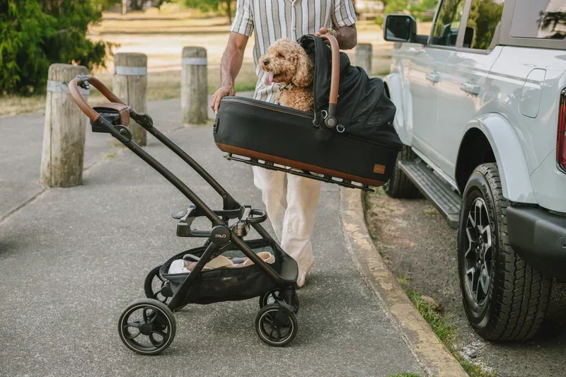 Isofix Autositz & Transportbox Maeve™ Medium Rigid von Tavo für Hunde bis 13.6 kg | GREENGUARD-Gold-Zertifizierung | Farbe: Merle
