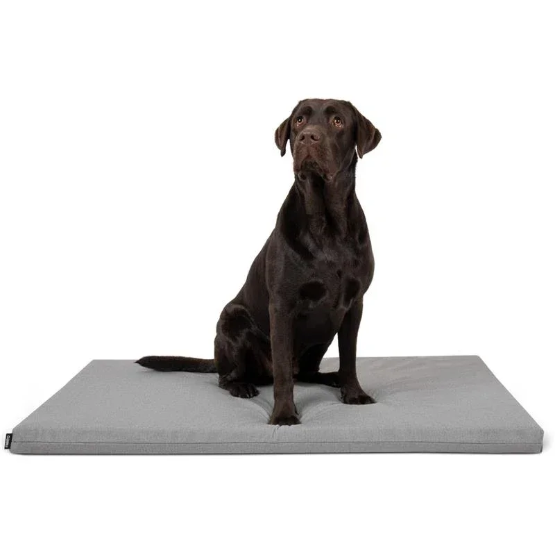 FINNTO® Basic Hundematte ergonomisch | Antiallergen & wasserdicht | FAIRTRADE & Oeko-Tex® Standard | Hellgrau