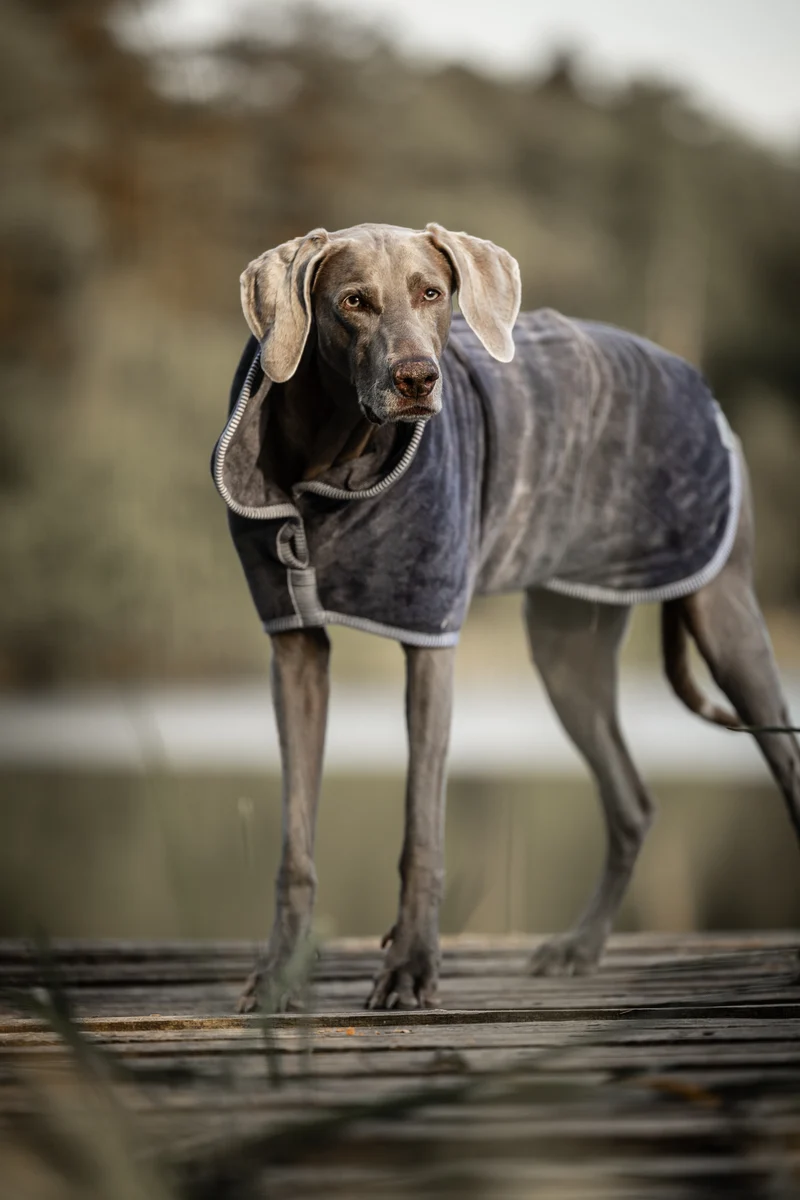 SNIFFLS® Bademantel für Hunde