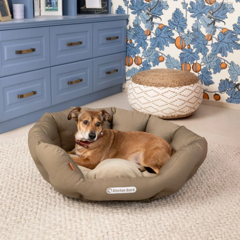 Doctor Bark Orthopädisches Hundenest – Premium Hundebett mit Gelenkschutz, waschbar & langlebig für gesunden Schlaf