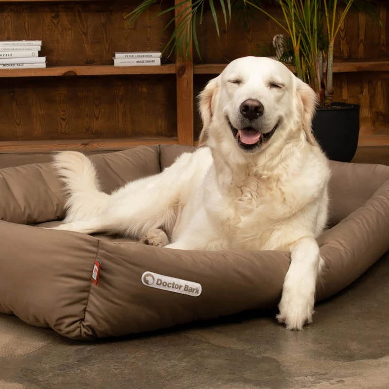 Doctor Bark Orthopädisches Hundebett – Gelenkschonend & Wirbelsäulenentlastend für gesunden Schlaf