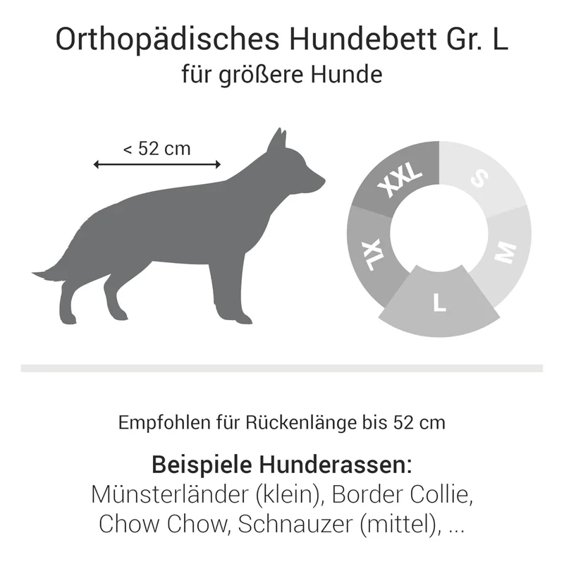 Doctor Bark Orthopädisches Hundebett – Gelenkschonend & Wirbelsäulenentlastend für gesunden Schlaf